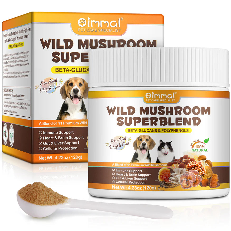 olipetlabs-wild-mushroom-superblend